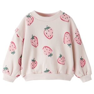 Zara girls strawberry sweater